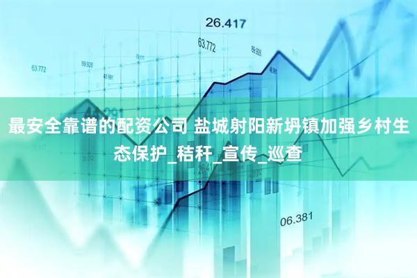 最安全靠谱的配资公司 盐城射阳新坍镇加强乡村生态保护_秸秆_宣传_巡查
