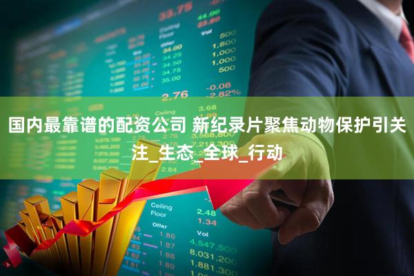 国内最靠谱的配资公司 新纪录片聚焦动物保护引关注_生态_全球_行动